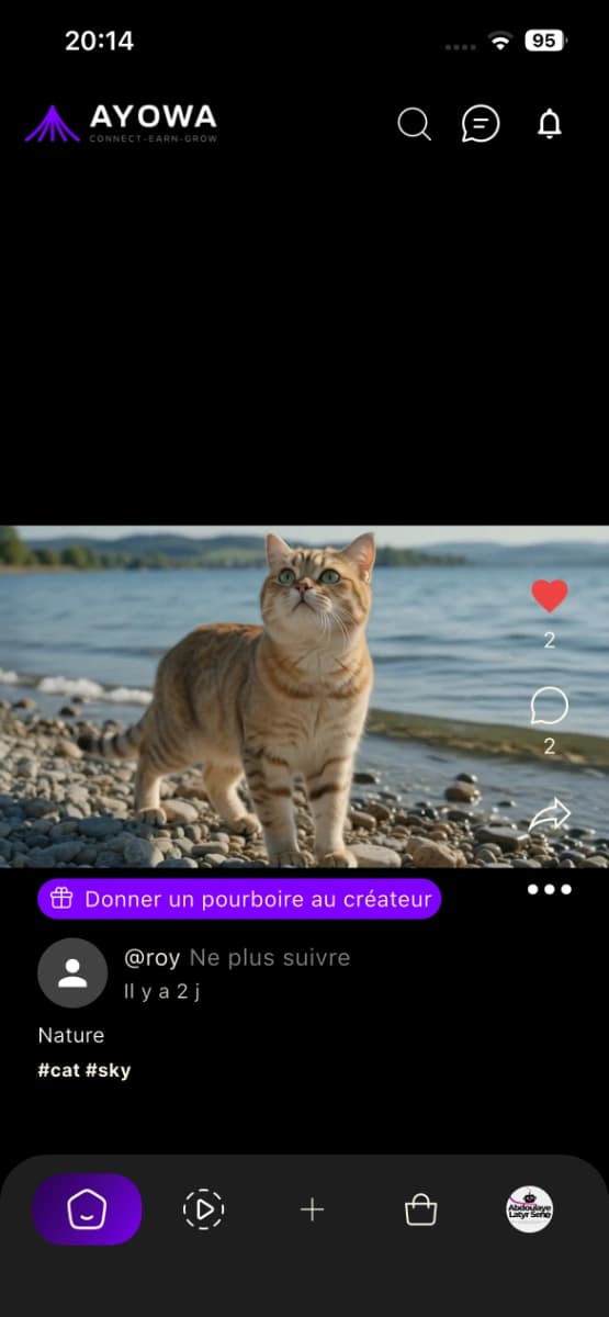Ayowa App Preview 2